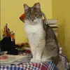 Отзыв от Ирина Громова